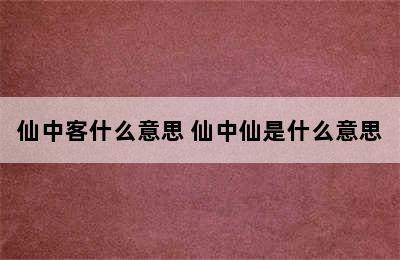 仙中客什么意思 仙中仙是什么意思